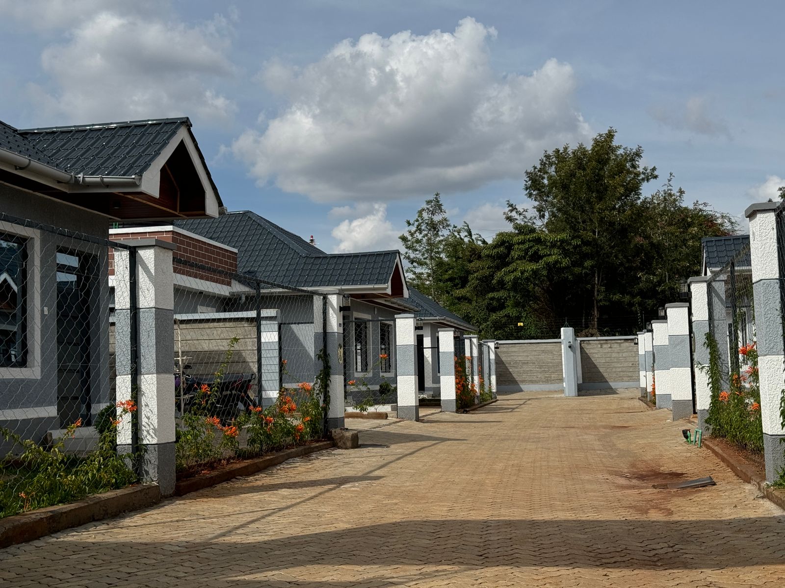 WhatsApp Image 2025-03-13 at 12.21.52 (1)