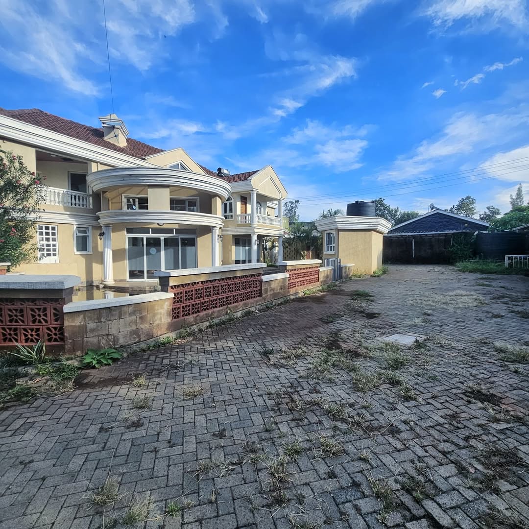 WhatsApp Image 2025-03-21 at 09.38.46